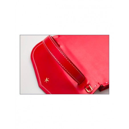 'Chantilly Silk' Leather handbag Écrevisse & Gold